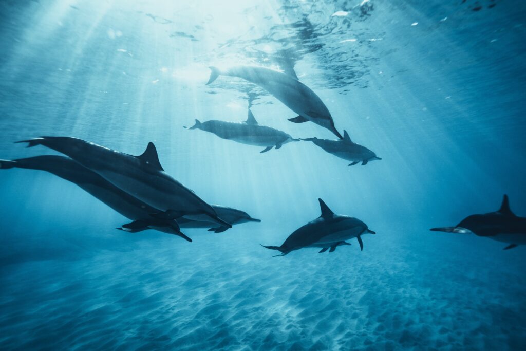 Swimming underwater